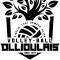 Logo Volley Ball Ollioulais 2