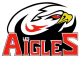 Logo Les Aigles - Nice 2