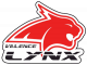 Logo Les Lynx - Valence