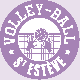 Logo Saint Esteve Volley Ball