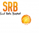 Logo Sud Retz Basket