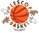 Logo ES Plescop Basket Ball 2