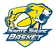 Logo Sainte Savine Basket 4