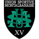Logo US Montauban