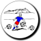 Logo Sure FC