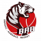 Logo Brissac Aubance Basket