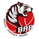 Logo Brissac Aubance Basket 3