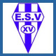 Logo Etoile SP Villenouvelloise 2