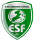 Logo Elan Sorinières Football 3