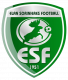 Logo Elan Sorinières Football 2
