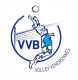 Logo Vendrennes Volley-Ball
