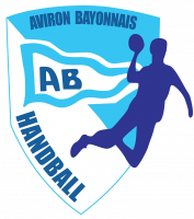 SENIOR M1 - Aviron Bayonnais Handball - Hand - Prenationale Masculin -  Poule A - Score'n'co