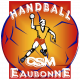 Logo CSM Eaubonne Handball 4