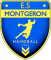 Logo ES Montgeron 3