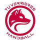 Logo Tu Verrieres-le-Buisson Handball 2