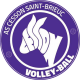 Logo Cesson Saint-Brieuc Côtes d'Armor VB 2