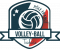Logo Institut fédéral de Volley-ball