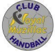 Logo HBC Noyal-Muzillac 2
