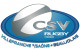 Logo CS Villefranche sur Saone 3