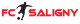 Logo Saligny FC 3
