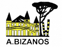 Logo Avenir Bizanos 2