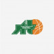Logo Trementines Basket 3