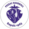 Logo SPUC Pessac Handball 2
