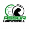 Logo ASSOA Handball 4