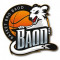 Logo Basket Bro Baod