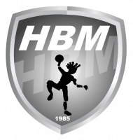 Logo Hand Ball Mothais
