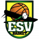 Logo ES Viry Chatillon Basket 3