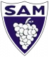 Logo SA Monein 2