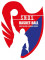 Logo St Nazaire Olympique Sportif 3