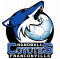 Logo Handball Club Franconville 3
