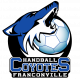 Logo Handball Club Franconville 2