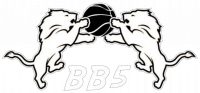 Logo Basket Ball du 5ème