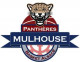 Logo Pantheres Mulhouse Basket Alsace 2