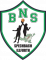 Logo Basket Nord Sundgau 2