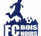 Logo FC des Bois Noirs 3