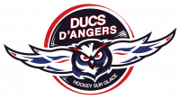 Les Ducs d'Angers