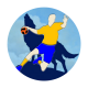 Logo Handball Club du Havre de Vie