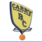 Logo Basket Club Carry le Rouet