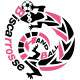 Logo Biscarrosse Olympique Handball