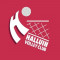 Logo Halluin Volley Metropole