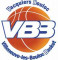 Logo Vacquiers Bouloc Basket
