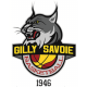 Logo Gilly Savoie Basket