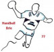 Logo Handball Brie 77