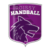 Association Roissy Handball