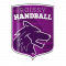 Logo Association Roissy Handball 2