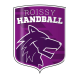 Logo Association Roissy Handball 3
